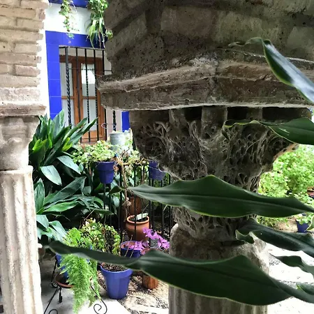 Alojamiento Casa Tipica De Cordoba Exterior photo